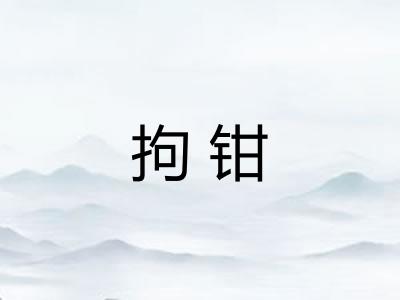 拘钳