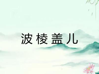 波棱盖儿 波棱盖儿