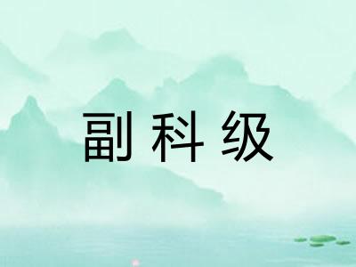 副科级 副科级