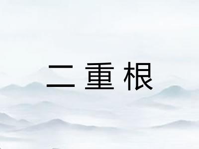二重根 二重根