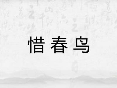 惜春鸟 惜春鸟