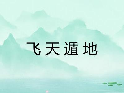 飞天遁地