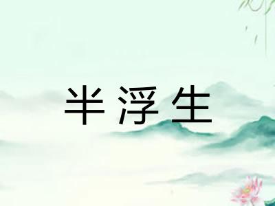 半浮生 半浮生