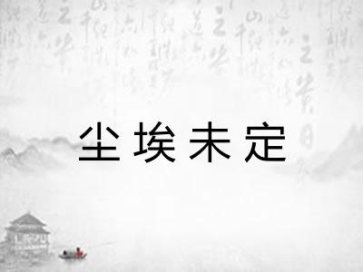 尘埃未定 尘埃未定