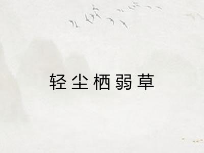 轻尘栖弱草 轻尘栖弱草