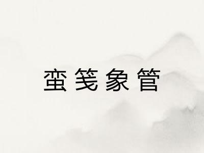 蛮笺象管 蛮笺象管