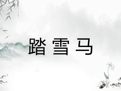 踏雪马 踏雪马