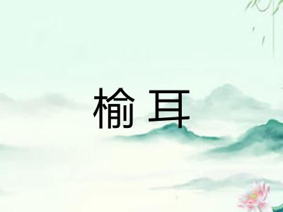 榆耳 榆耳
