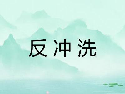 反冲洗 反冲洗