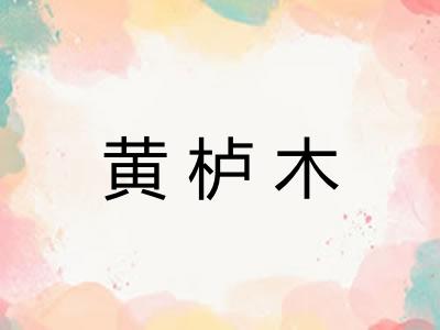 黄栌木 黄栌木
