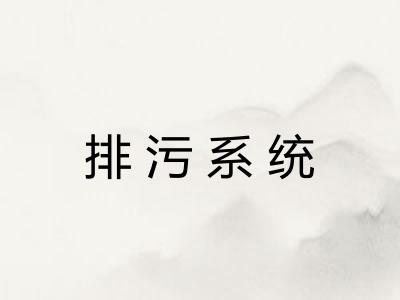 排污系统 排污系统