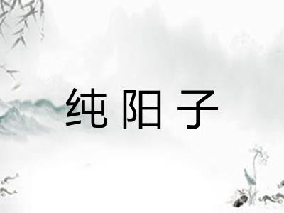 纯阳子
