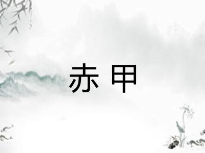 赤甲 赤甲