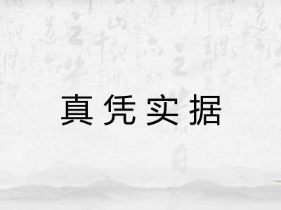 真凭实据 真凭实据
