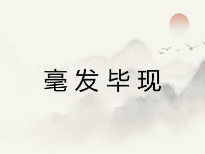 毫发毕现 毫发毕现