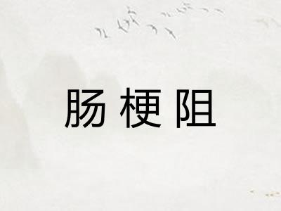 肠梗阻 肠梗阻