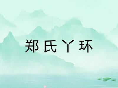 郑氏丫环 郑氏丫环