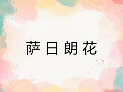 萨日朗花 萨日朗花