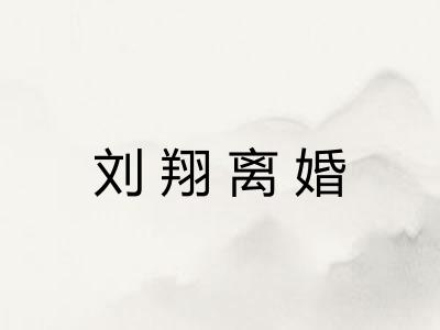 刘翔离婚 刘翔离婚