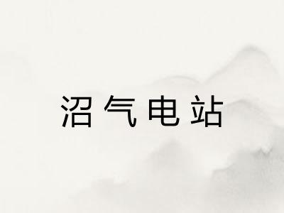 沼气电站 沼气电站