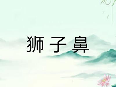 狮子鼻 狮子鼻