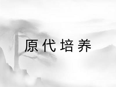 原代培养 原代培养