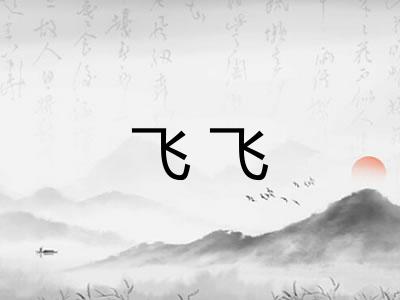 飞飞 飞飞