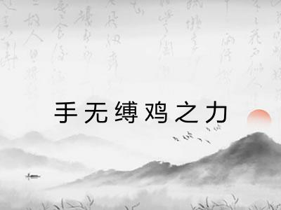 手无缚鸡之力