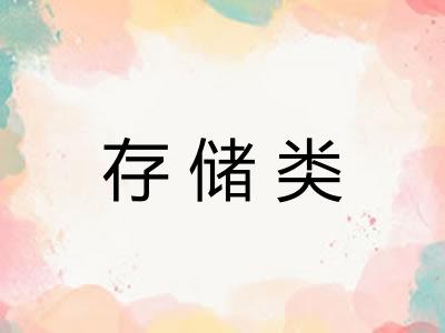 存储类 存储类