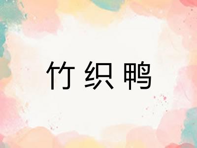 竹织鸭 竹织鸭