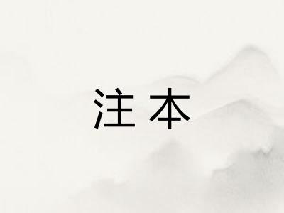 注本
