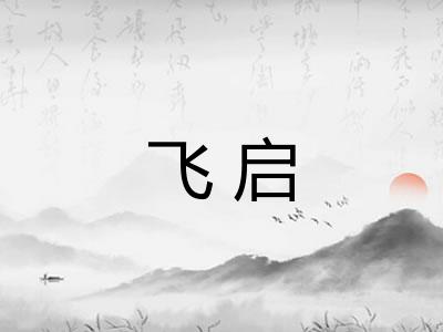 飞启 飞启