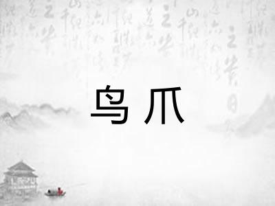 鸟爪 鸟爪