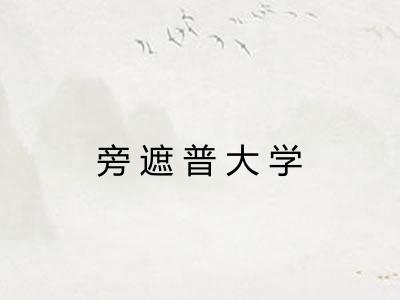 旁遮普大学 旁遮普大学