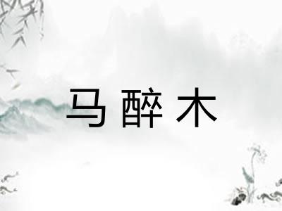 马醉木