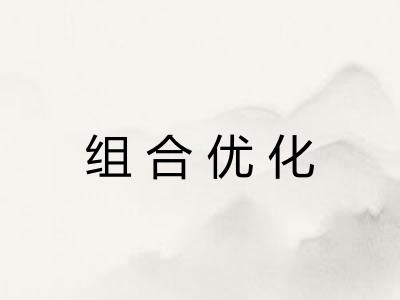 组合优化 组合优化