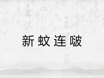 新蚊连啵 新蚊连啵
