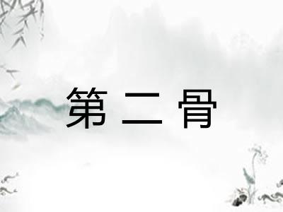 第二骨 第二骨