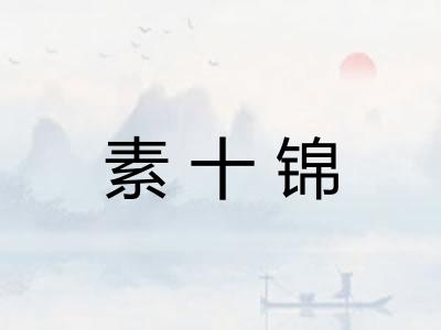 素十锦