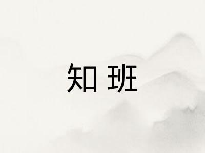 知班