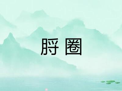 脟圈 脟圈