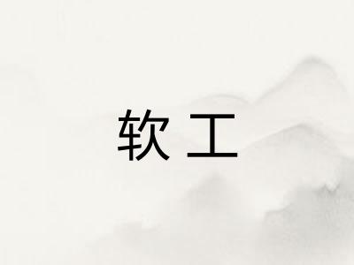 软工