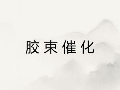 胶束催化 胶束催化