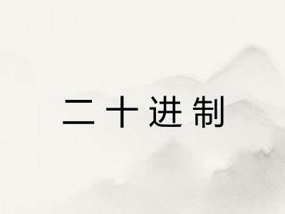 二十进制 二十进制