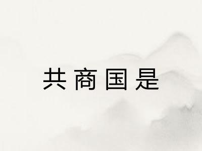 共商国是 共商国是