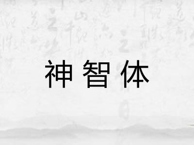 神智体