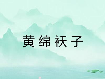 黄绵袄子 黄绵袄子