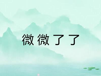 微微了了