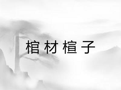 棺材楦子 棺材楦子