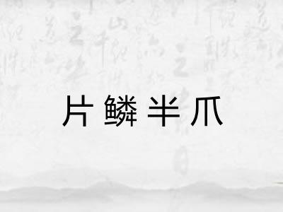 片鳞半爪 片鳞半爪